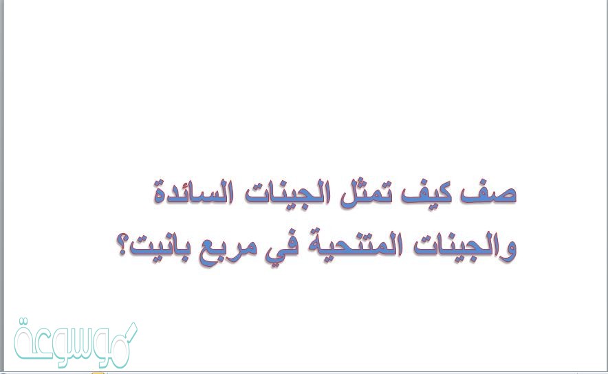 صف كيف تمثل الجينات السائدة والجينات المتنحية في مربع بانيت؟