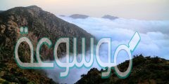 علل كون المناطق الجبلية في المملكة العربية السعودية مناطق جذب سياحي للمصطافين