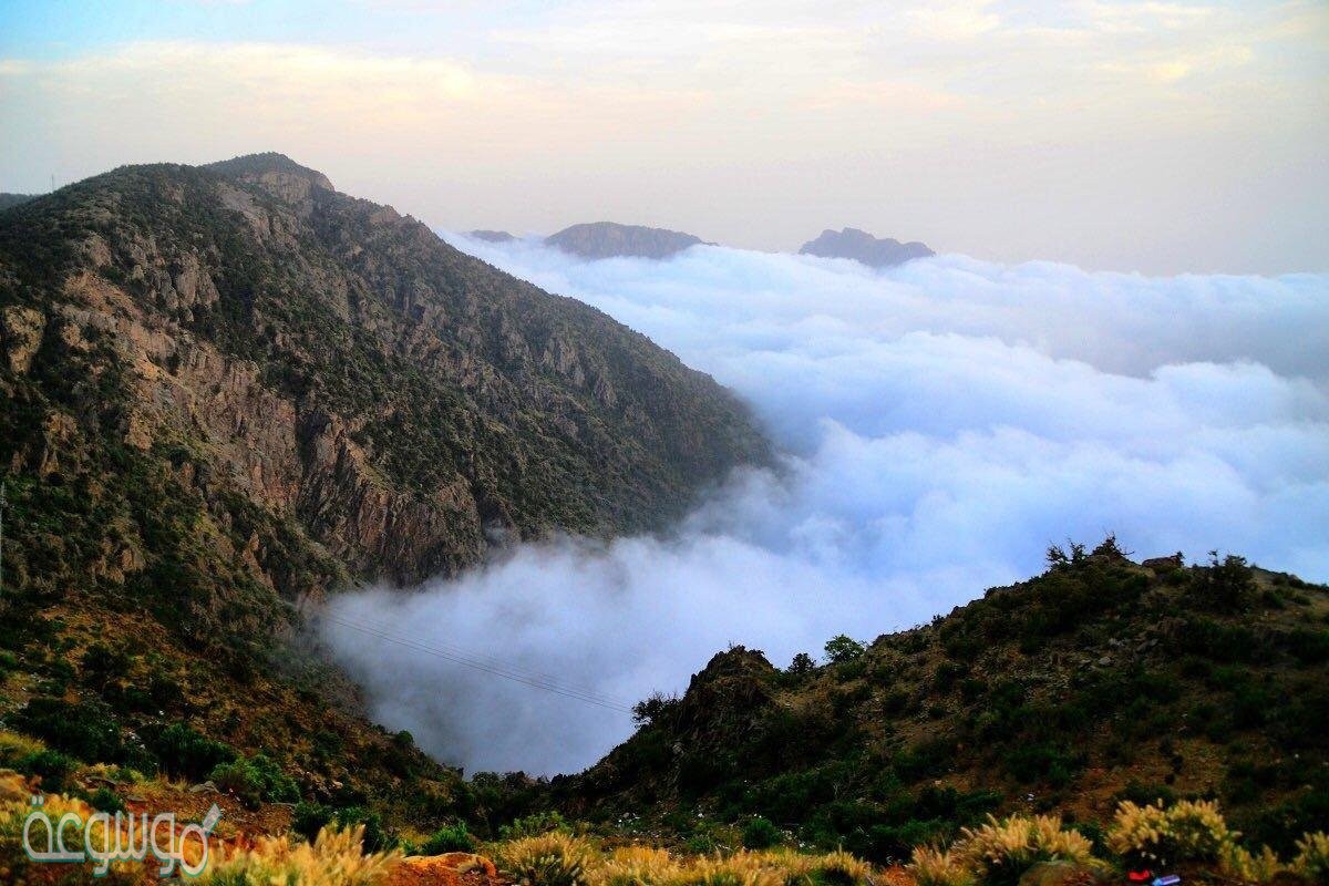 علل كون المناطق الجبلية في المملكة العربية السعودية مناطق جذب سياحي للمصطافين