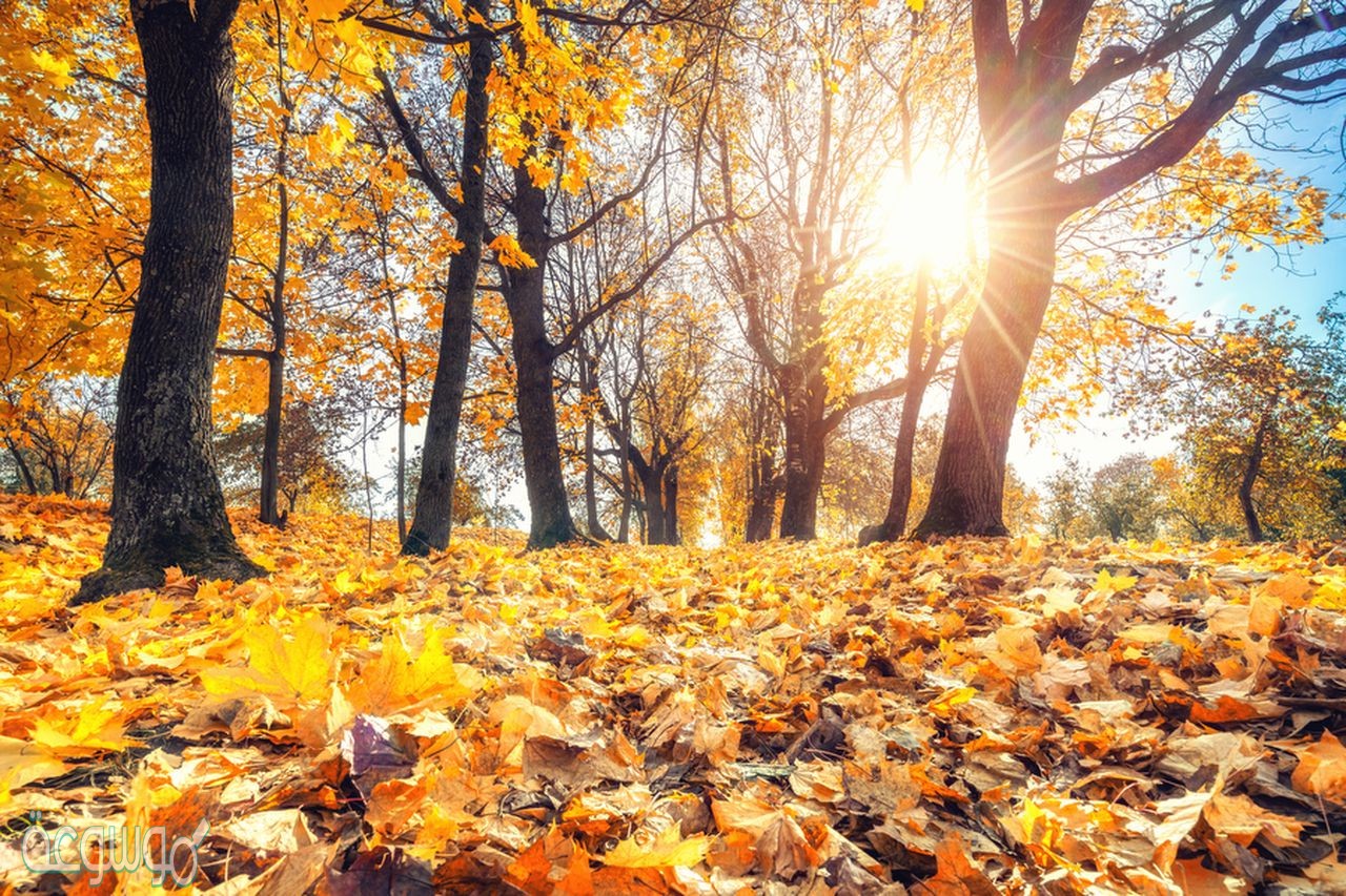 تحدث الفصول الاربعه