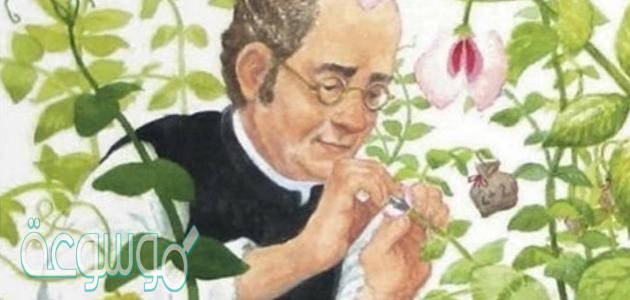 العالم مندل درس توارث الصفات