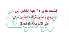 قسّمت هدى ٣٤ حبة أناناس إلى ٦ شرائح متساوية. فما الكسر الدال على الشريحة الواحدة؟