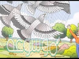 قصة الحمامة المطوقة