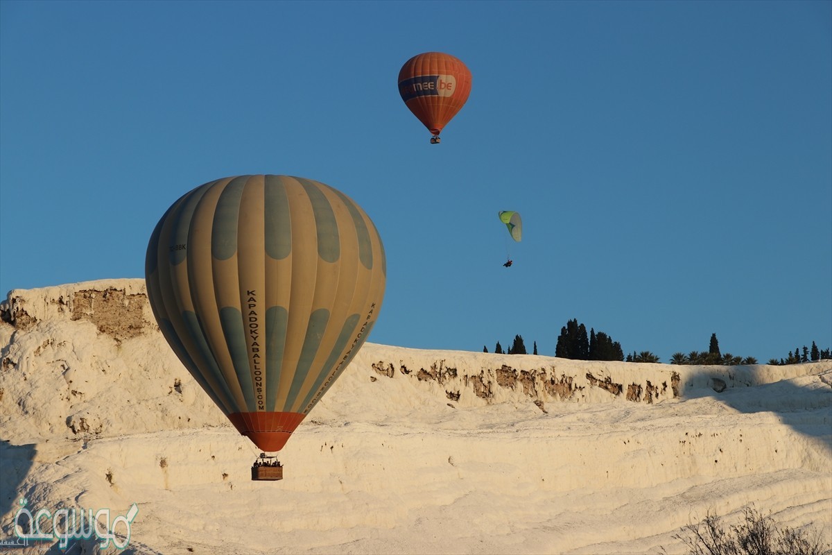 شاحنه كبيره تصدم سياره صغيره اي العبارات التاليه صحيحه