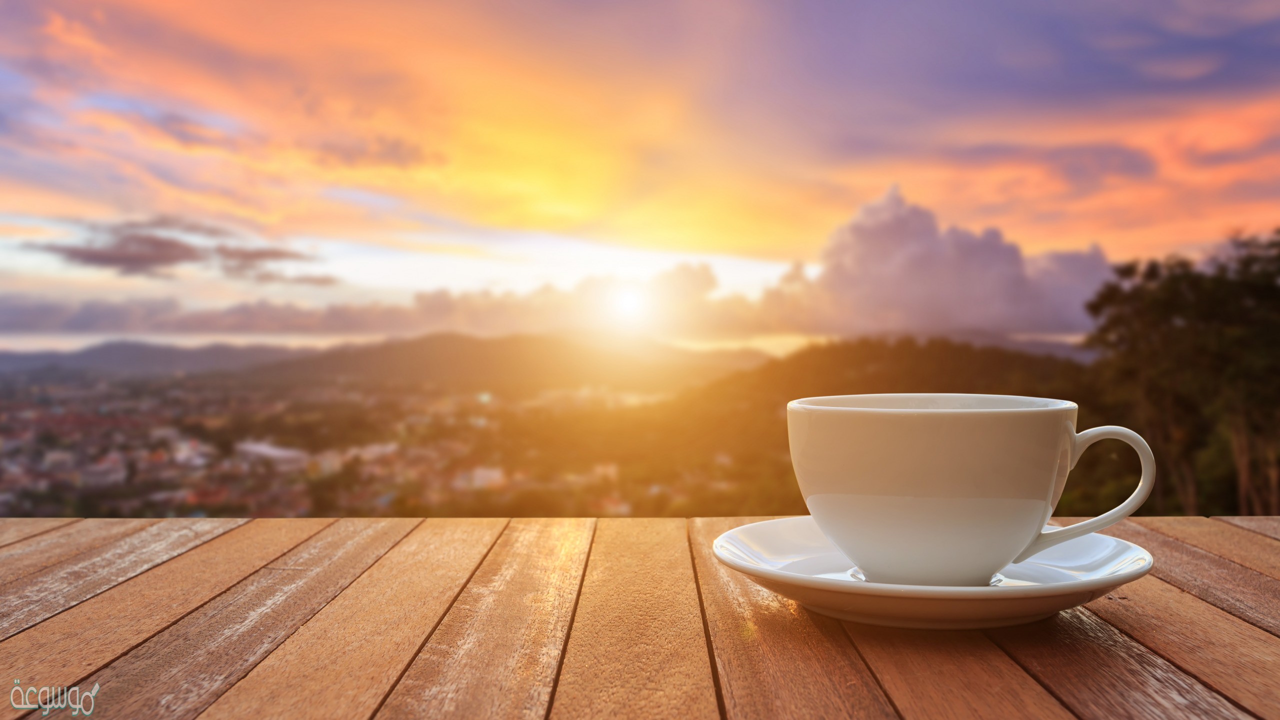 كلمات صباحية رقيقة تداعب الفؤاد