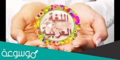 كم حفظ علي بن المبارك من الشواهد النحوية