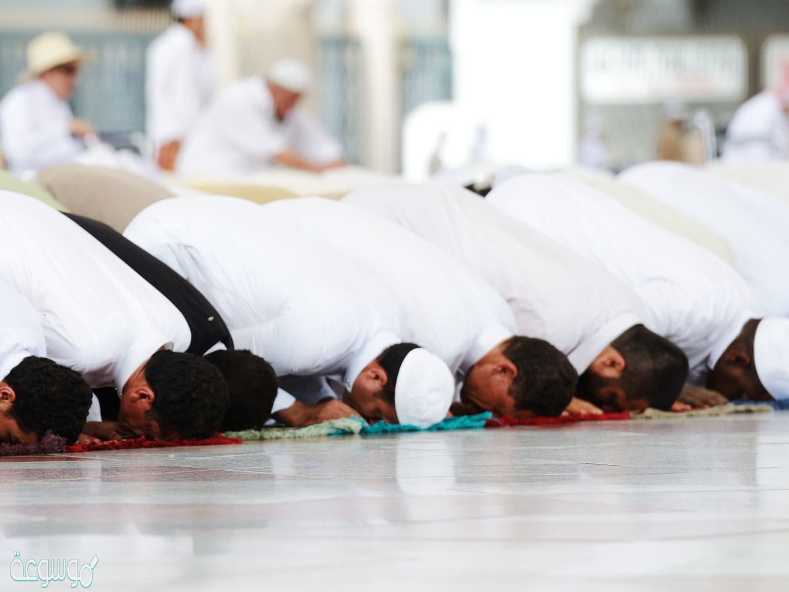 كم عدد صفات الصلاة