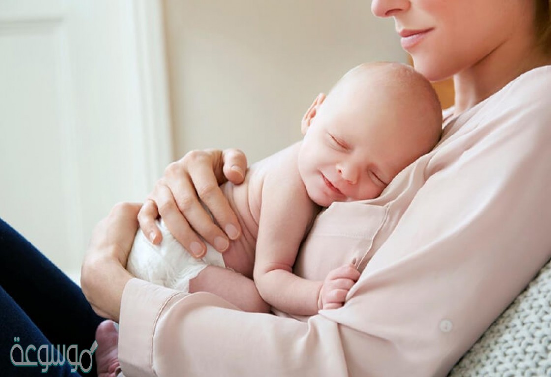 كيس عضلي جدرانه سميكه تنمو فيها البويضه المخصبه وتطور حتى تصبح جنينًا....