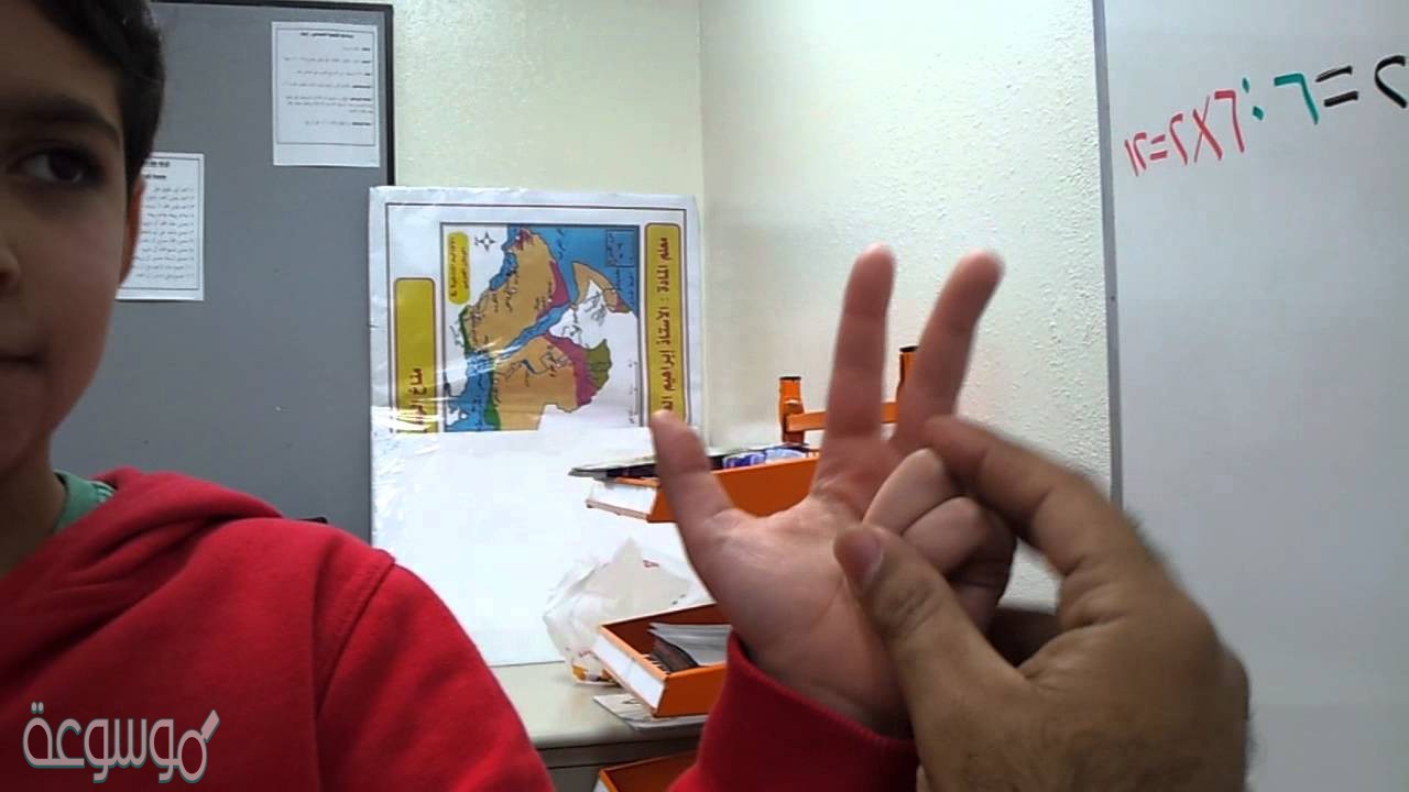 كيف أقسم ۱۲ قطعة مجموعات متساوية؟ أشرح