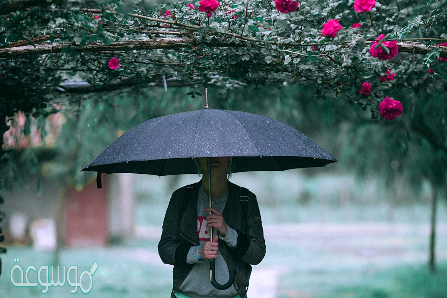 كيف تتغير الفصول خلال السنة علوم ثاني ابتدائي