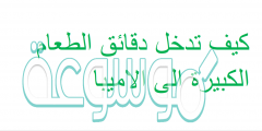 كيف تدخل دقائق الطعام الكبيرة الى الاميبا