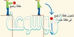 لماذا لا ترتد الكرة الى الارتفاع نفسه الذي سقطت منه ؟ وضح الإجابة