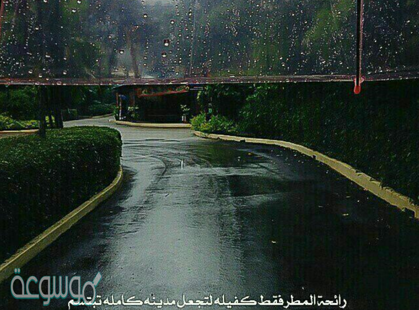 لماذا يوجد للمطر أكثر من رائحة،  موسم الامطار من أكثر المواسم الذي نلاحظ من خلالها العديد من الظواهر الطبيعية، التي يفسرها بعض العلماء بناء على ملاحظات الناس التي يدونها بما يلاحظونه ومن أبرز الأحداث والظواهر التي نريد الحديث عنها رائحة الامطار التي يلاحظها الكثير من البشر بعد الاستنشاق، وتعتبر هذه من مصادر الإلهام الكتاب والعلماء في بيان وتفسير الأسباب.   يوجد للمطر أكثر من رائحة  تتصف رائحة ما قبل مرحلة بالنسبة للكثير من الناس أصحاب الإحساس والشعور العالي بالرائحة، التي يصفها الكثير من العلماء  بأنها الرائحة الشبيهة بالكلور وهي المادة التي تسمى ببساطة الأوزون وهو أحد الأجزاء الرئيسية المكونة لمجموعة من العناصر الثنائية التي تخرج منها الروائح المختلفة، والتي نلاحظها قبل فترة الهطول من خلال الرياح المصحوبة، ومن ثم تبدأ بالتكاثر نتيجة العناصر المتواجدة في البيئة الخضراء، من نباتات وبكتيريا وغيرها من الأجزاء الذي لها علاقة مباشرة برائحة الأمطار. اقرأ أيضا : اكتب اثنين من العوامل المؤثرة في كمية الأمطار. علاقة النباتات والبكتيريا برائحة المطر ومدى تأثيرها يوجد للمطر أكثر من رائحة يتم ملاحظتها من قبل الكثير من الناس وهي الرائحة التي تنبعث بشدة بعد الهطول،  وبفعل التيارات الهوائية المتصاعدة ونجد أن السبب وراء ذلك هو الكائنات الدقيقة والنباتات، ويقول الكثير من العلماء أن هذه الرائحة تضيف الكثير من الأشياء منها أكسجين التنفس الذي يستفيد منه الإنسان بشكل كبير، من خلال عملية التنفس الذي يكتسبها بالانتعاش. ما هي علاقة رائحة المطر برائحة الأوزون رائحة أخرى مرتبطة بالمطر هي رائحة الأوزون وهو ما يتم الحديث إليه بالإشارة إلى ما تم ذكره في عنوان يوجد للمطر أكثر من رائحة وتظهر الامطار خلال بداية العواصف الرعدية، لتكون في البداية خفيفة الرائحة تبدأ بالتصاعد من خلال الجزيئات والتفاعلات المباشر لكافة المكونات الحيوية التي تحتوي على تركيز إلى نسبه من من العناصر المختلفة، التي يصفها الكثير من الناس أنها أقرب تشابها مع رائحة الكلور ومن خلال ذلك نستنتج ما يلي :  وصف الكثير من العلماء رائحة الامطار أنها رائحة ندية تعرف بالبتر يكور او ما تعرف بعطر الأرض تظهر بقوة بعد الهطول. رائحة مياه الامطار عبارة عن مزيج من المركبات الكيميائية العطرة والزيوت التي تصنعها النباتات. سؤال لماذا يوجد للمطر أكثر من رائحة؟  الإجابة : يرجع ذلك إلى تأثيرات النباتات والبكتيريا بالإضافة إلى تأثير غاز الأوزون. بالإشارة إلى ما تم الحديث عنه في عنواننا يوجد للمطر أكثر من رائحة قدمنا لكم الإجابة بالكامل وهو التفسير العلمي في المادة العلمية والتي يتم البحث عنها من قبل الكثير من الطلبة أصحاب الاهتمام.