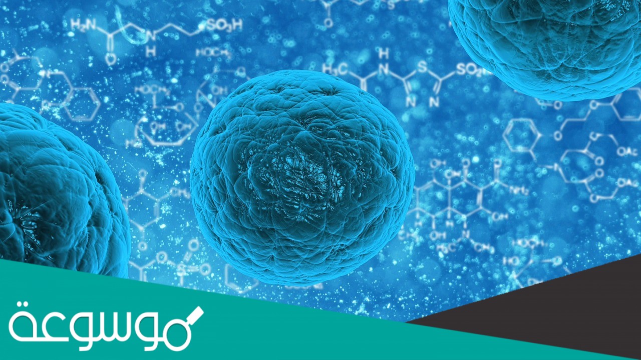 ما اسم العملية التي تستعمل فيها الخلية الطاقة لنقل المواد