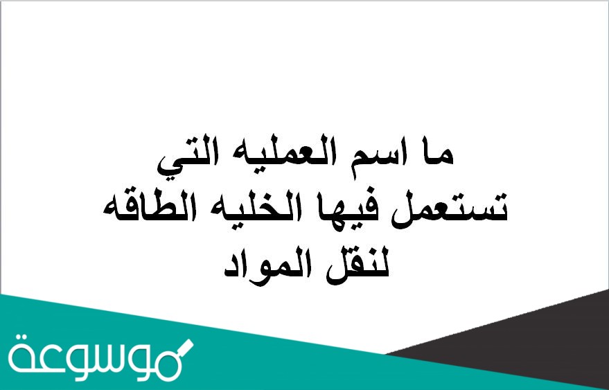 ما اسم العمليه التي تستعمل فيها الخليه الطاقه لنقل المواد