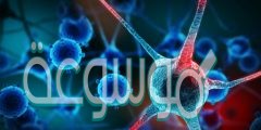 ما القاعدة التي توجد في rna ولاتوجد في dna