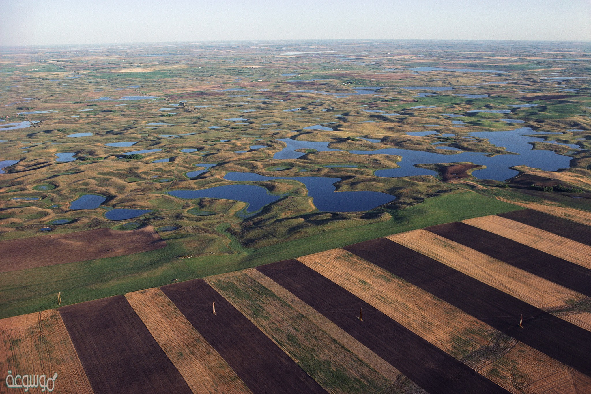 ما هو اهم ما انجزته جمعية اصدقاء البيئة في مجال جماية المياه من التلوث