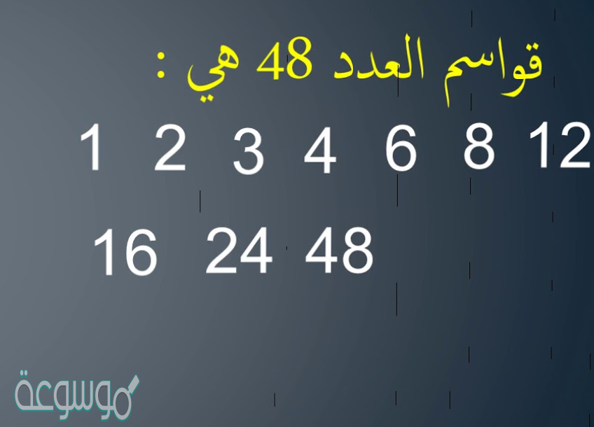 ما هي قواسم العدد 16