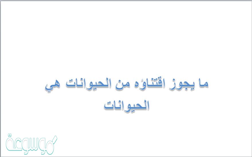 ما يجوز اقتناؤه من الحيوانات هي الحيوانات