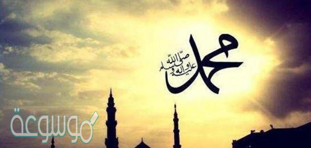 اين ولد النبي صلى الله عليه وسلم