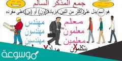 مادل على أكثر من اثنين بزيادة واو ونون أو ياء ونون على مفرده يسمى