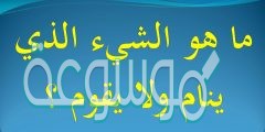 ماهو الشي الذي ينام ولا يقوم من 6 حروف