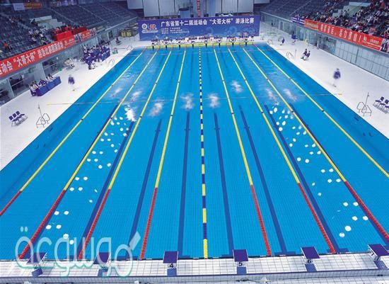 طول مسبح اولمبي