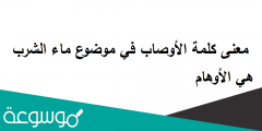 معنى كلمة الأوصاب في موضوع ماء الشرب هي الأوهام