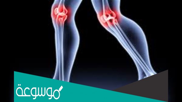 ملتقى عظمتين او اكثر في الهيكل العظمي