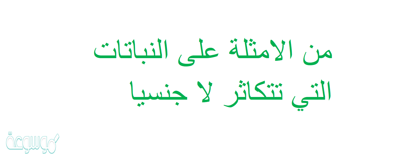 من الامثلة على النباتات التي تتكاثر لا جنسيا
