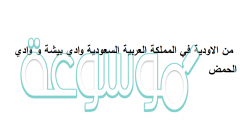 من الاودية في المملكة العربية السعودية وادي بيشة و وادي الحمض