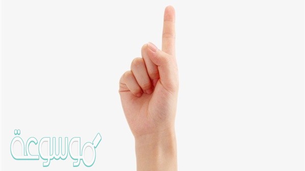 من عظيم عدل الله سبحانه أنه يجازي على الاعمال مهما كانت صغيرة