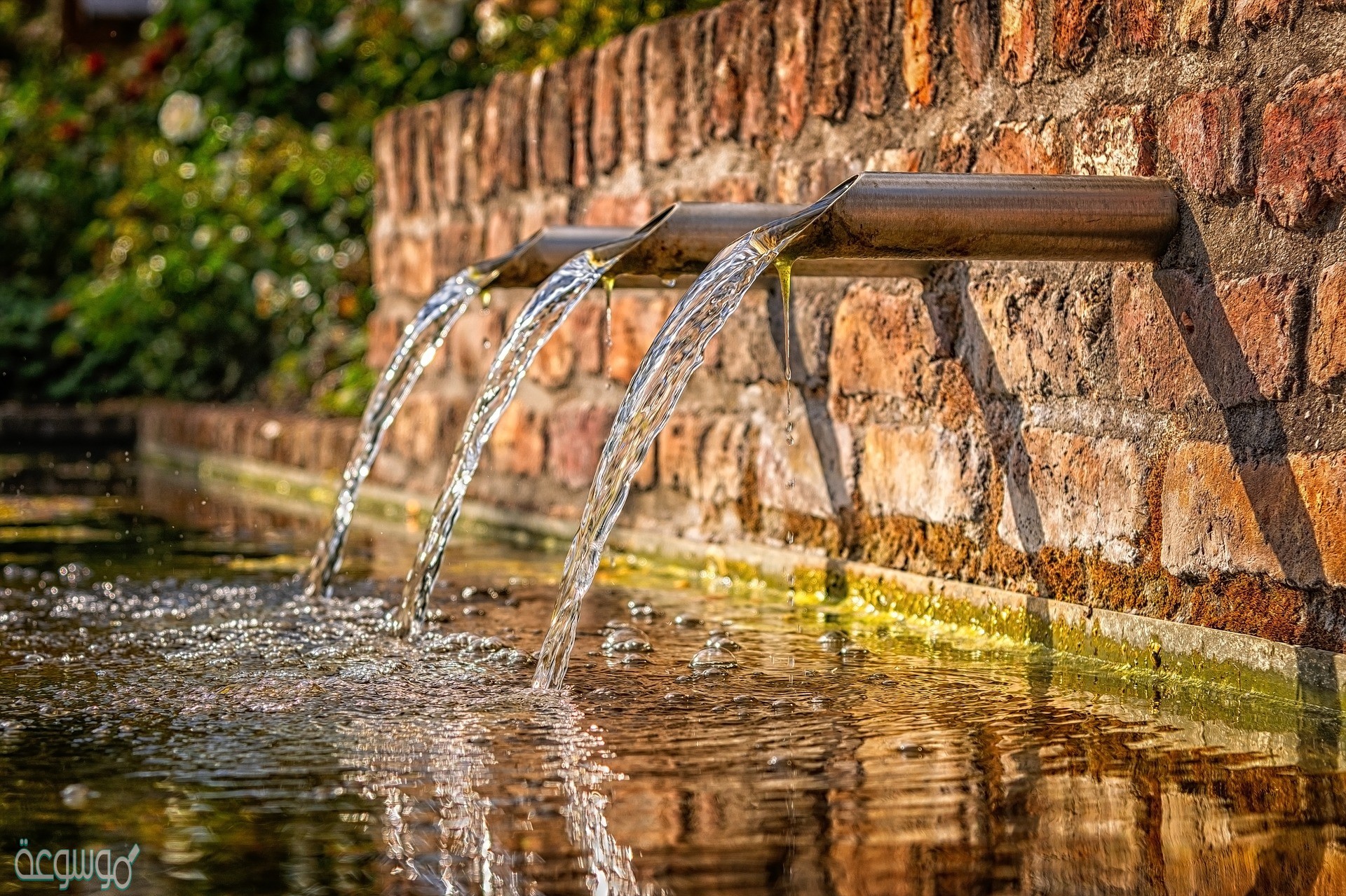 من مصادر المياه العذبه