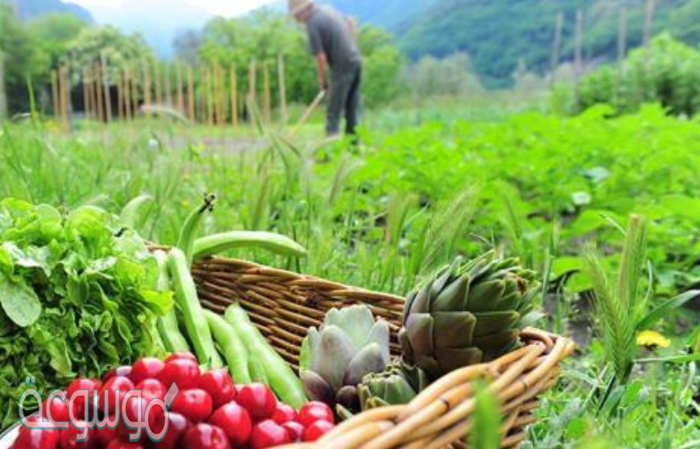 هم السكان المستقرون في المدن والقرى