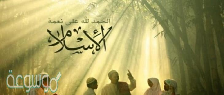 هو توحيد الله وطاعته وترك معصيته