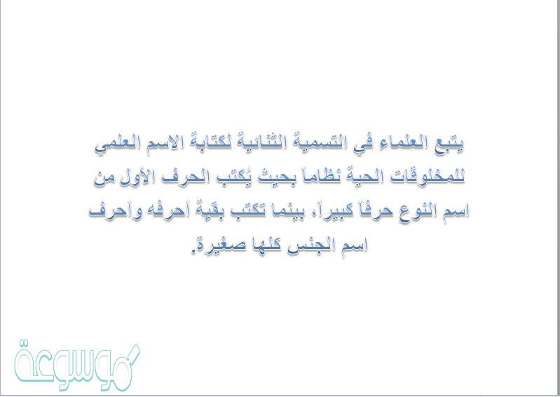 يتبع العلماء في التسمية الثنائية لكتابة الاسم العلمي للمخلوقات الحية نظاماً بحيث يُكتب الحرف الأول من اسم النوع حرفاً كبيراً، بينما تكتب بقية أحرفه وأحرف اسم الجنس كلها صغيرة.
