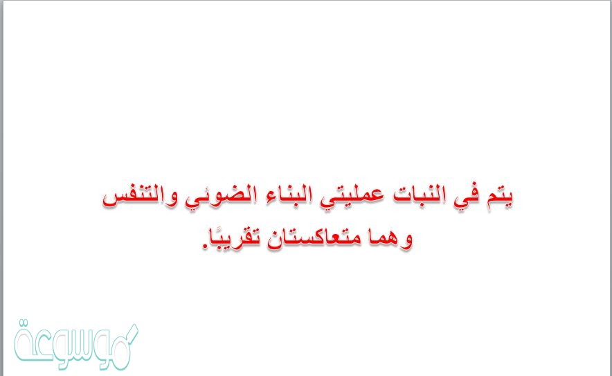 يتم في النبات عمليتي البناء الضوئي والتنفس وهما متعاكستان تقريبًا.