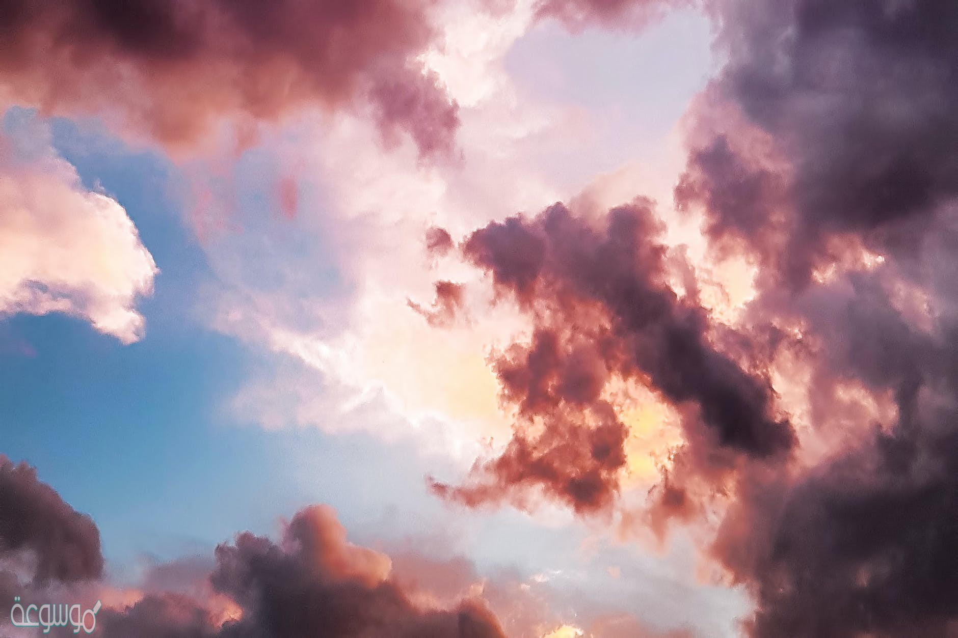 يدخل الكربون والاكسجين ضمن عمليتين حيويتين رئيسيتين هما