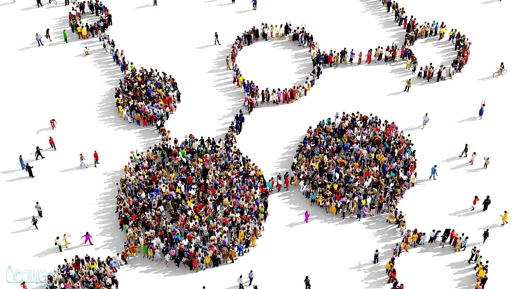 يساهم في حل المشكلات الاقتصادية والاجتماعية وفهم خصائص المجتمع