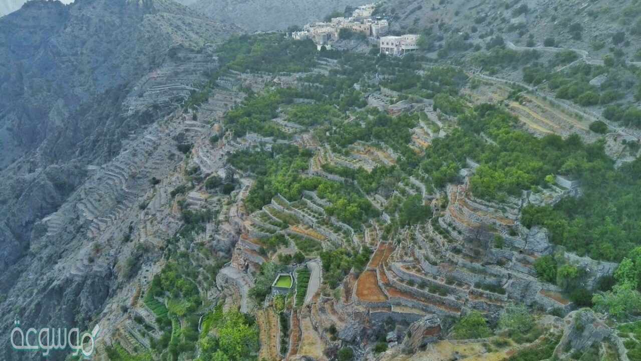 يقع الجبل الاخضر في.....