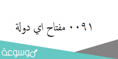 0091 مفتاح اي دولة