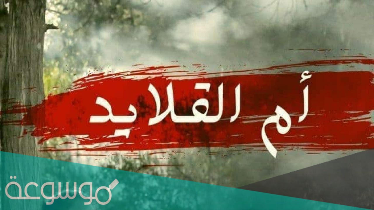 قصة مسلسل ام القلايد ويكيبيديا