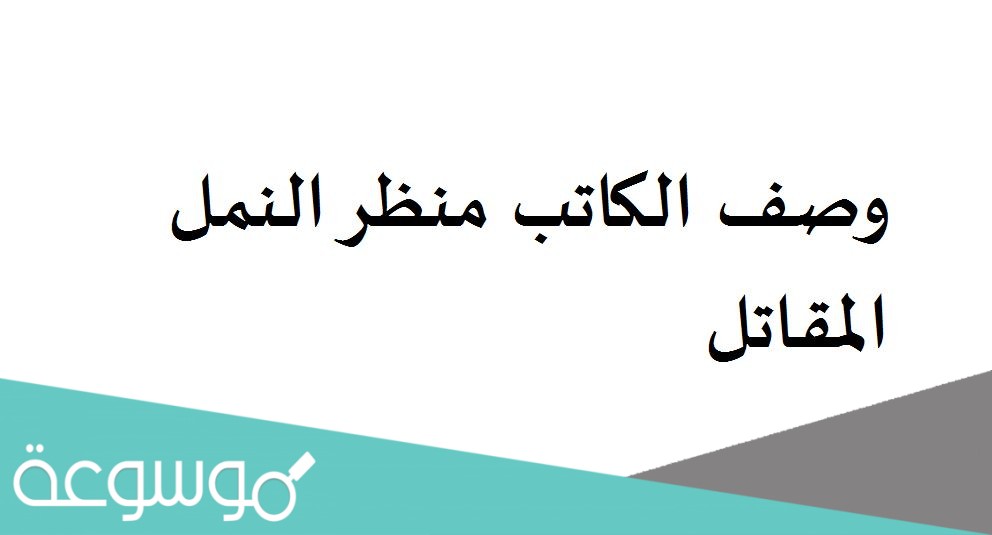 وصف الكاتب منظر النمل المقاتل