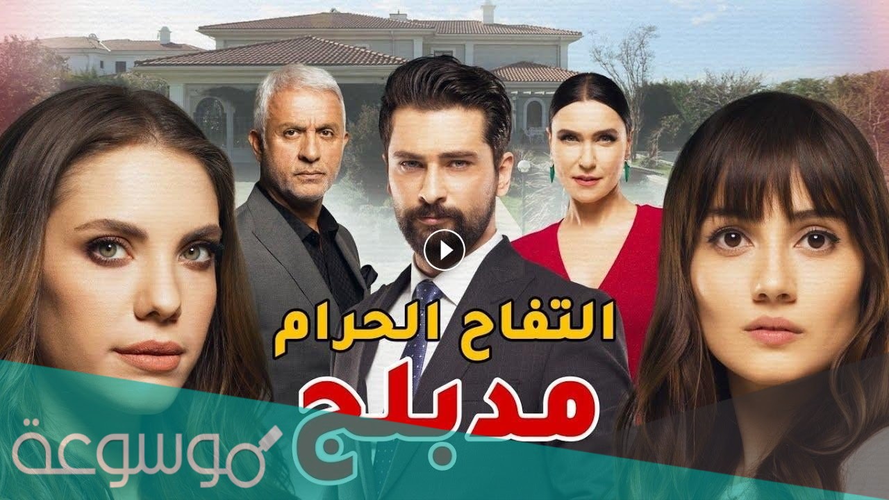 ما هي قصة عشق التفاح الحرام