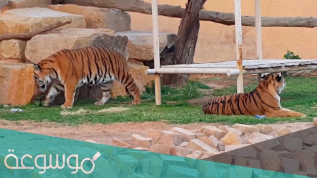 مواعيد حديقة الحيوان بالرياض 2021