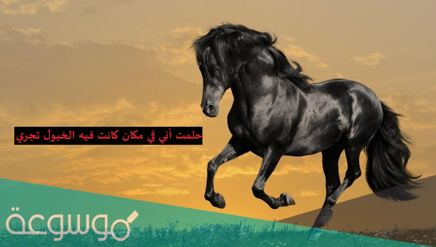 حلمت أني في مكان كانت فيه الخيول تجري