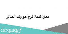 هل معنى كلمة فرخ هو ولد الطائر