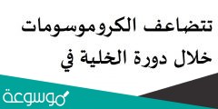 تتضاعف الكروموسومات خلال دورة الخلية في الطور مطلوب الإجابة. خيار واحد