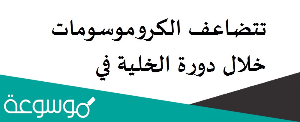تتضاعف الكروموسومات خلال دورة الخلية في الطور مطلوب الإجابة. خيار واحد