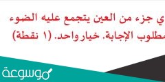 اي جزء من العين يتجمع عليه الضوء مطلوب الإجابة. خيار واحد. (1 نقطة)